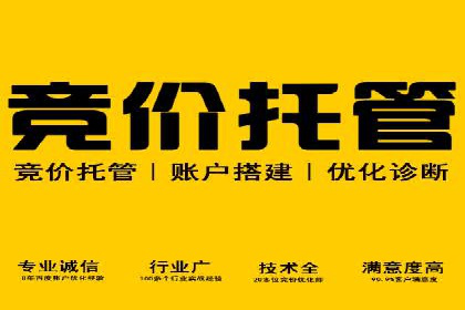 高效SEM竞价技巧，案例教学揭秘